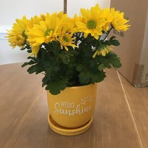 Meet your Posher, Marley